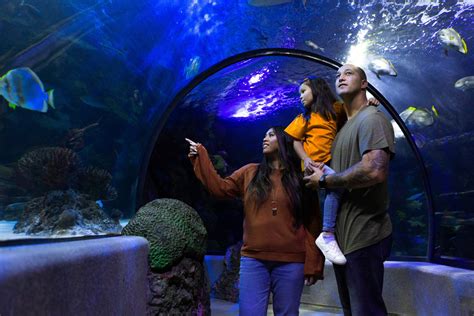 Virginia aquarium marine science center - A ticket is required for attendees of all ages for this exclusive event. You will select a timeframe to see mermaids swimming in the Red Sea Tunnel to enhance the guest experience. Other activities will be open in the North Building for ticketed guests to explore from 6:00pm-9:00pm. Strollers will not be permitted in the tunnel.
